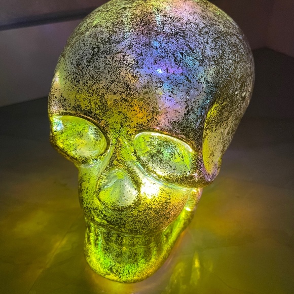 CHRISTOPHER RADKO SKULL - Picture 5 of 6